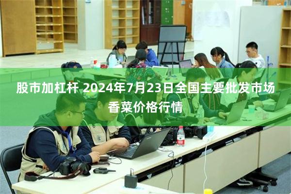 股市加杠杆 2024年7月23日全国主要批发市场香菜价格行情