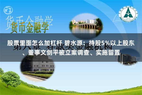 股票里面怎么加杠杆 碧水源：持股5%以上股东、董事文剑平被立案调查、实施留置