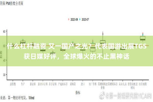 什么杠杆融资 又一国产之光？代表国游出展TGS获日媒好评，全球爆火的不止黑神话