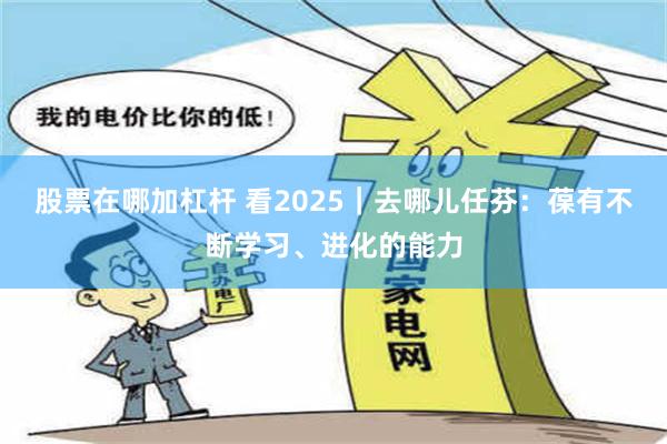 股票在哪加杠杆 看2025｜去哪儿任芬：葆有不断学习、进化的能力