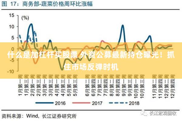 什么是加杠杆买股票 外资公募最新持仓曝光！抓住市场反弹时机